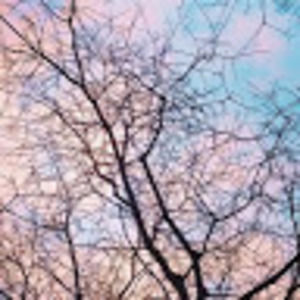 Meet your Posher, Addison